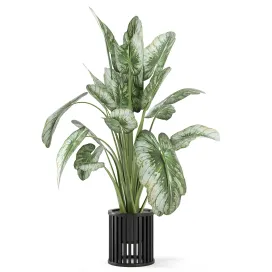 Indoor plants in metal pot